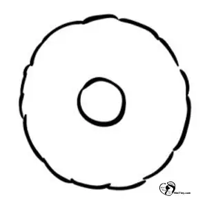 آموزش نقاشی گل آفتابگردان برای کودکان مرحله دوم آموزش نقاشی گل آفتابگردان برای کودکان مرحله دوم