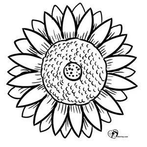 آموزش نقاشی گل آفتابگردان برای کودکان مرحله هفتم آموزش نقاشی گل آفتابگردان برای کودکان مرحله هفتم