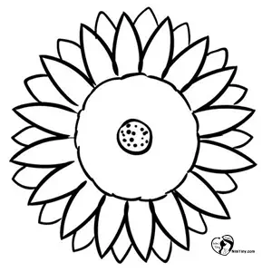 آموزش نقاشی گل آفتابگردان برای کودکان مرحله پنجم آموزش نقاشی گل آفتابگردان برای کودکان مرحله پنجم