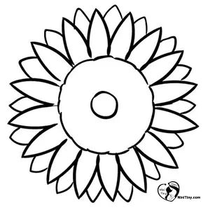 آموزش نقاشی گل آفتابگردان برای کودکان مرحله چهارم آموزش نقاشی گل آفتابگردان برای کودکان مرحله چهارم