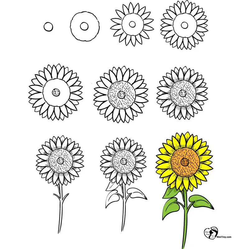 آموزش نقاشی گل آفتابگردان برای کودکان ن آموزش نقاشی گل آفتابگردان برای کودکان ن