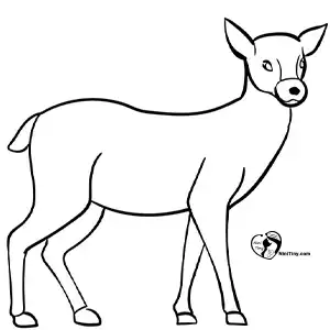 آموزش نقاشی گوزن برای کودکان مرحله ششم compressed آموزش نقاشی گوزن برای کودکان مرحله ششم compressed