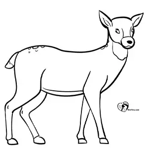 آموزش نقاشی گوزن برای کودکان مرحله هفتم compressed آموزش نقاشی گوزن برای کودکان مرحله هفتم compressed