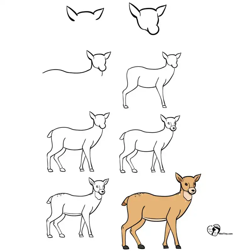 آموزش نقاشی گوزن برای کودکانن compressed آموزش نقاشی گوزن برای کودکانن compressed