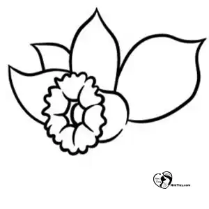 آموزش گل نرگس برای کودکان مرحله دوم compressed آموزش گل نرگس برای کودکان مرحله دوم compressed