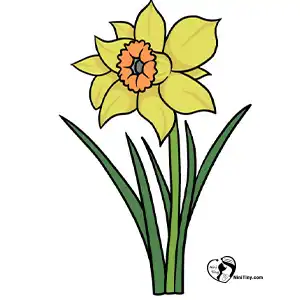 آموزش گل نرگس برای کودکان مرحله ششم compressed آموزش گل نرگس برای کودکان مرحله ششم compressed