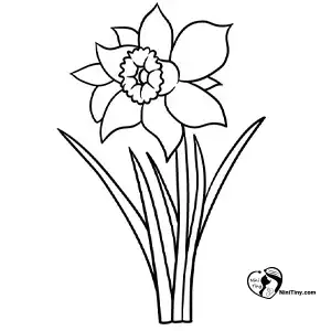 آموزش گل نرگس برای کودکان مرحله پنجم compressed آموزش گل نرگس برای کودکان مرحله پنجم compressed