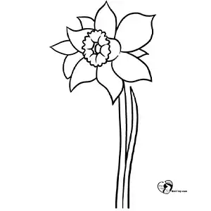 آموزش گل نرگس برای کودکان مرحله چهارم compressed آموزش گل نرگس برای کودکان مرحله چهارم compressed